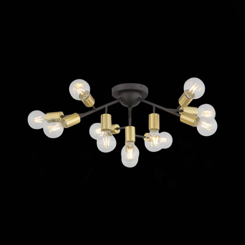 Потолочная светодиодная люстра ST Luce Foglione SL437.402.12 Потолочная светодиодная люстра ST Luce Foglione SL437.402.12