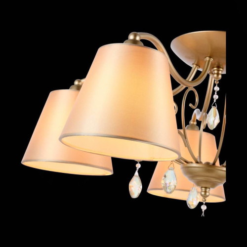 Потолочная люстра Evoluce Rimonio SL1135.102.05 Потолочная люстра Evoluce Rimonio SL1135.102.05