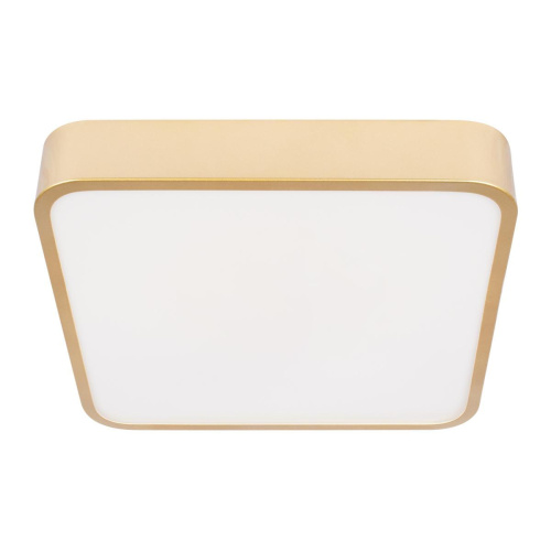 Потолочный светодиодный светильник Loft IT Flims 10228/C Потолочный светодиодный светильник Loft IT Flims 10228/C