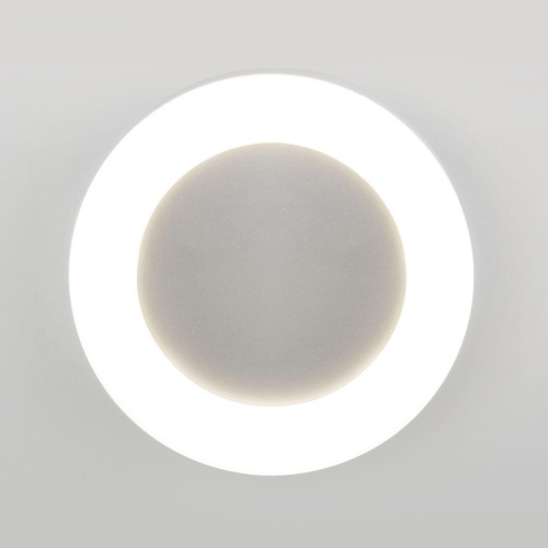 Уличный настенный светодиодный светильник Elektrostandard LTB52 Led белый a048714 Уличный настенный светодиодный светильник Elektrostandard LTB52 Led белый a048714