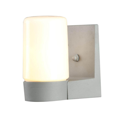 Уличный настенный светильник Arte Lamp Spasso A8058AL-1GY Уличный настенный светильник Arte Lamp Spasso A8058AL-1GY