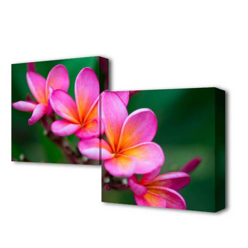 Модульная картина Нежность цветения Toplight 50x100см TL-M2010 Модульная картина Нежность цветения Toplight 50x100см TL-M2010