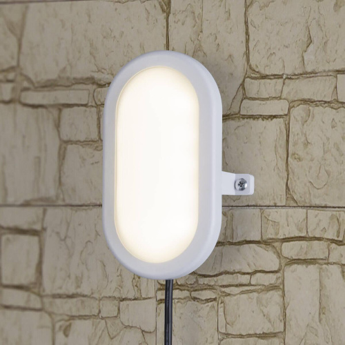 Пылевлагозащищенный светильник Elektrostandard LTB0102D LED 17 см 6W белый a036709 Пылевлагозащищенный светильник Elektrostandard LTB0102D LED 17 см 6W белый a036709