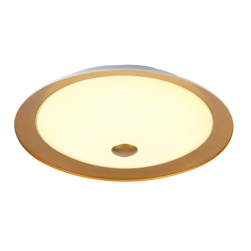 Потолочный светильник Maytoni Euler CL815-PT50-G Потолочный светильник Maytoni Euler CL815-PT50-G