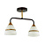 Потолочная люстра Lumion Comfi Nettie 5214/2CA