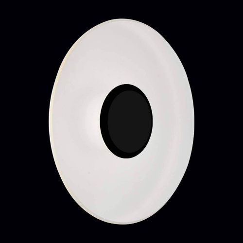 Уличный настенный светодиодный светильник ST Luce SL925.401.01 Уличный настенный светодиодный светильник ST Luce SL925.401.01