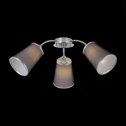Потолочная люстра Evoluce Maleonte SLE103002-03 Потолочная люстра Evoluce Maleonte SLE103002-03