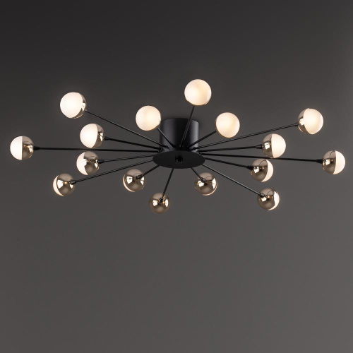 Потолочный светильник Freya FR5242CL-16B Потолочный светильник Freya FR5242CL-16B
