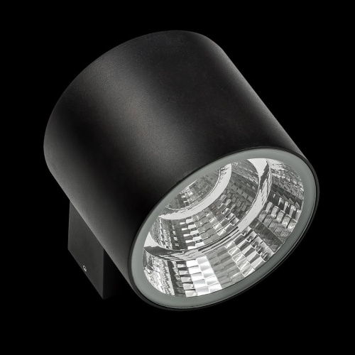 Уличный настенный светодиодный светильник Lightstar Paro 370574 Уличный настенный светодиодный светильник Lightstar Paro 370574