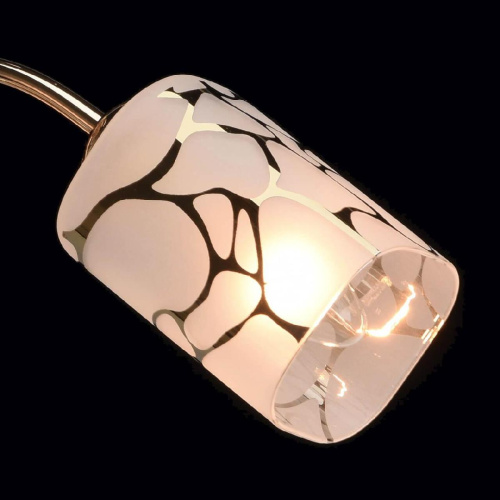 Потолочная люстра MW-Light Олимпия 638010203 Потолочная люстра MW-Light Олимпия 638010203