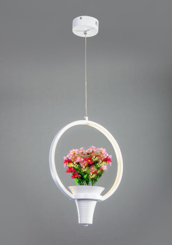 Подвесной светодиодный светильник Escada 10213/S LED Подвесной светодиодный светильник Escada 10213/S LED