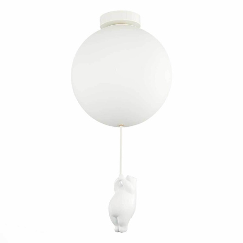 Потолочный светильник Evoluce MODENA SLE115412-01 Потолочный светильник Evoluce MODENA SLE115412-01