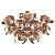 Потолочный светильник Lussole Loft LSA-5917-09