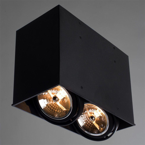 Потолочный светильник Arte Lamp Cardani A5936PL-2BK Потолочный светильник Arte Lamp Cardani A5936PL-2BK