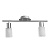 Спот Arte Lamp A4510PL-2SS