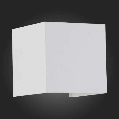 Уличный настенный светодиодный светильник ST Luce SL560.501.02 Уличный настенный светодиодный светильник ST Luce SL560.501.02