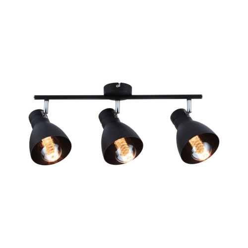 Спот Paulmann Davy 66761 Спот Paulmann Davy 66761