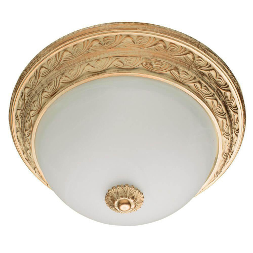 Потолочный светильник Arte Lamp Piatti A8014PL-2WA Потолочный светильник Arte Lamp Piatti A8014PL-2WA