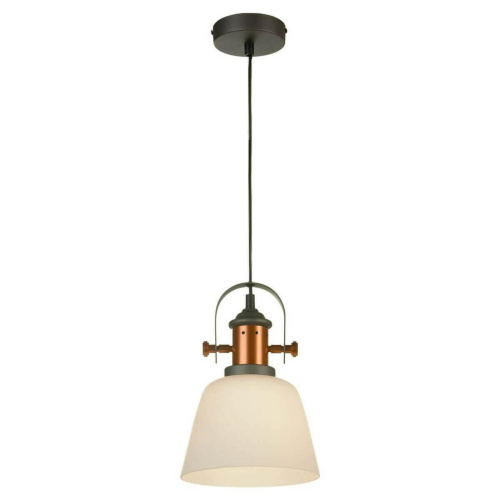 Подвесной светильник Lussole Loft GRLSP-9846 Подвесной светильник Lussole Loft GRLSP-9846