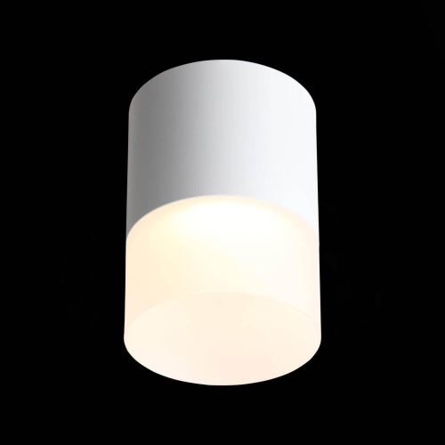 Потолочный светодиодный светильник ST Luce Ottu ST100.502.15 Потолочный светодиодный светильник ST Luce Ottu ST100.502.15