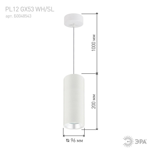 Подвесной светильник ЭРА PL12 GX53 WH/SL Б0048543 Подвесной светильник ЭРА PL12 GX53 WH/SL Б0048543