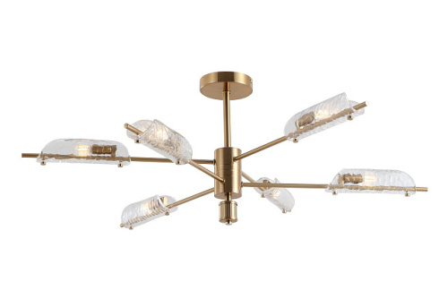 Потолочный светильник Freya FR5420CL-06BS