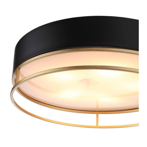 Потолочный светильник ST Luce Chodo SL1127.432.05 Потолочный светильник ST Luce Chodo SL1127.432.05