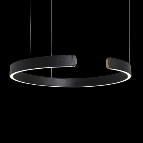Подвесной светодиодный светильник Loft IT Ring 10025/600 Black Подвесной светодиодный светильник Loft IT Ring 10025/600 Black