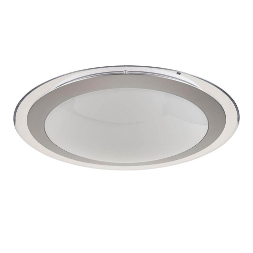 Потолочный светодиодный светильник Freya Halo FR6998-CL-45-W Потолочный светодиодный светильник Freya Halo FR6998-CL-45-W