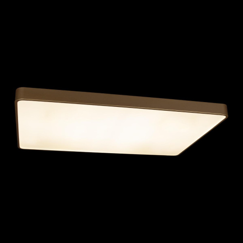 Потолочный светодиодный светильник Loft IT Flims 10228/E Потолочный светодиодный светильник Loft IT Flims 10228/E