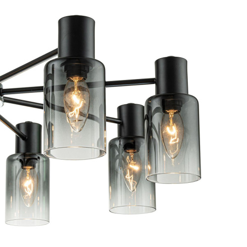 Потолочная люстра Escada Diversity 2120/8P Black Потолочная люстра Escada Diversity 2120/8P Black