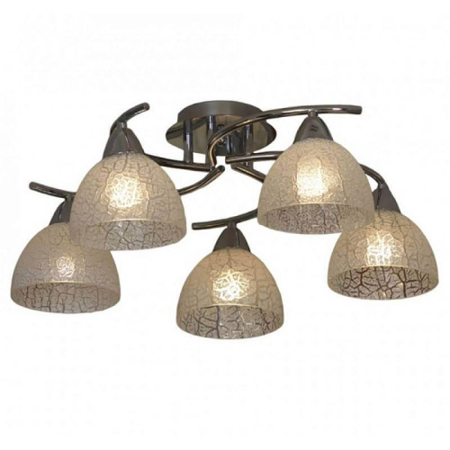 Потолочная люстра Lussole Zungoli LSF-1603-05 Потолочная люстра Lussole Zungoli LSF-1603-05