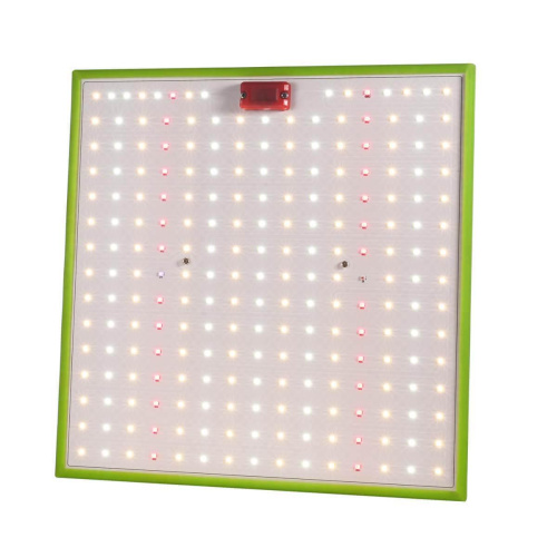 Прожектор светодиодный для растений ЭРА 50W 1310K Fito-80W-Led-QB Б0053285 Прожектор светодиодный для растений ЭРА 50W 1310K Fito-80W-Led-QB Б0053285