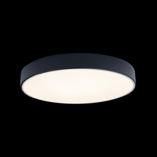 Потолочный светодиодный светильник Loft IT Axel 10002/24 black Потолочный светодиодный светильник Loft IT Axel 10002/24 black