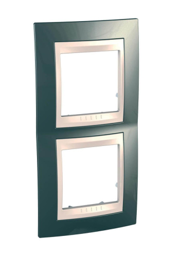 Рамка 2-постовая вертикальная Schneider Electric Unica Хамелеон MGU6.004V.524 Рамка 2-постовая вертикальная Schneider Electric Unica Хамелеон MGU6.004V.524