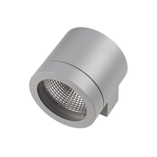 Уличный настенный светильник Lightstar Paro 350619 Уличный настенный светильник Lightstar Paro 350619