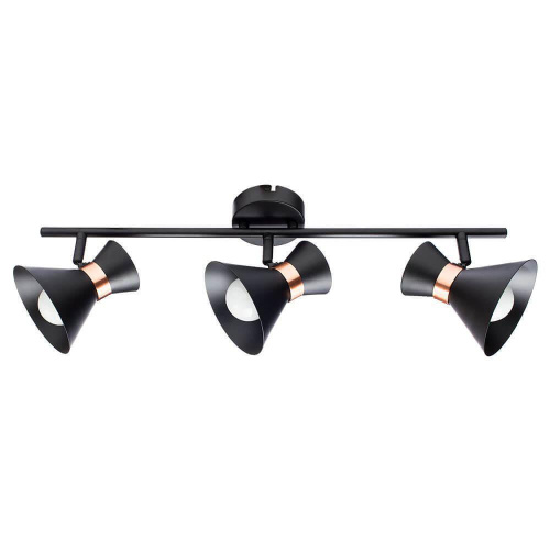 Спот Arte Lamp Baltimore A1406PL-3BK Спот Arte Lamp Baltimore A1406PL-3BK