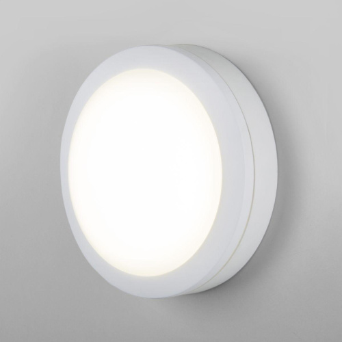 Уличный настенный светодиодный светильник Elektrostandard LTB51 Led белый a048704 Уличный настенный светодиодный светильник Elektrostandard LTB51 Led белый a048704