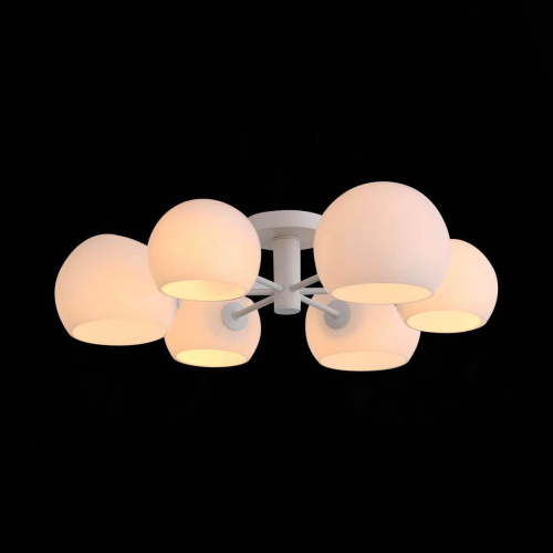 Потолочная люстра ST Luce Calmare SL434.502.06 Потолочная люстра ST Luce Calmare SL434.502.06
