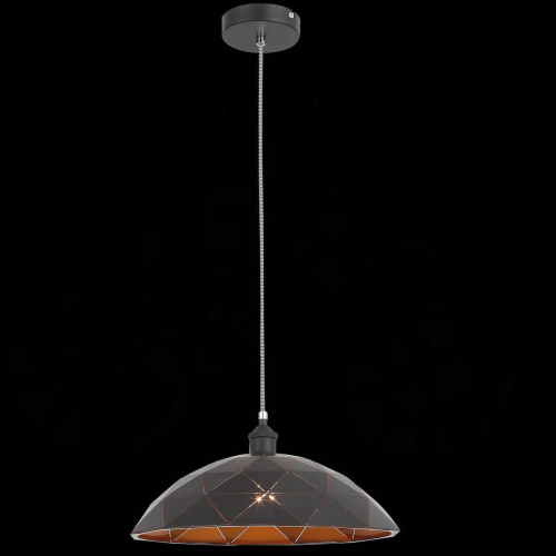 Подвесной светильник ST Luce Enigma SL258.443.01 Подвесной светильник ST Luce Enigma SL258.443.01