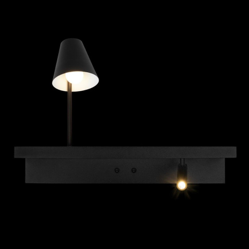 Настенный светильник Loft IT Shelf 10216/2W Black Настенный светильник Loft IT Shelf 10216/2W Black