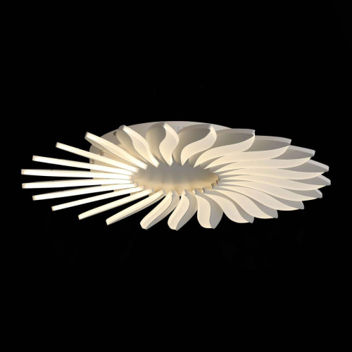 Потолочный светодиодный светильник ST Luce Girasole SL836.502.24 Потолочный светодиодный светильник ST Luce Girasole SL836.502.24