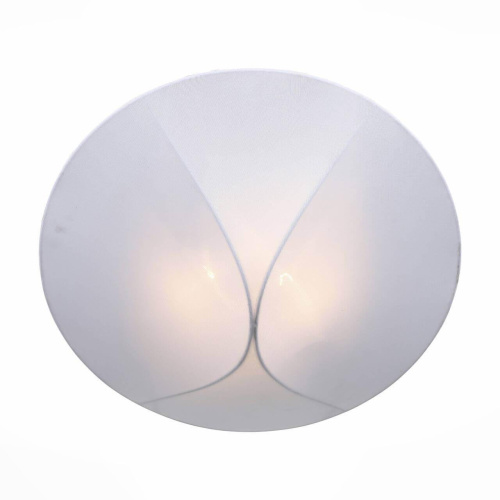 Накладной светильник ST Luce Tonico SL360.552.02 Накладной светильник ST Luce Tonico SL360.552.02