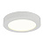 Потолочный светодиодный светильник Globo Paula 41605-20D