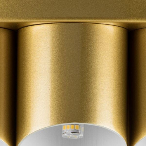 Потолочная люстра Lightstar Siena 720402 Потолочная люстра Lightstar Siena 720402