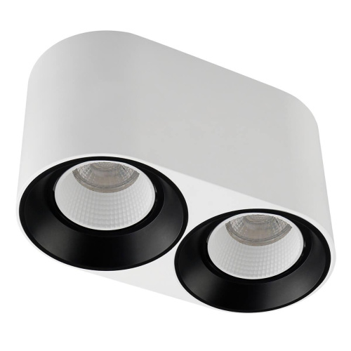 Накладной светильник Denkirs DK3096-WB+WH Накладной светильник Denkirs DK3096-WB+WH