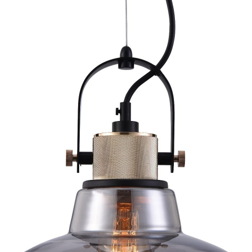 Подвесной светильник Maytoni Irving T163PL-01C Подвесной светильник Maytoni Irving T163PL-01C
