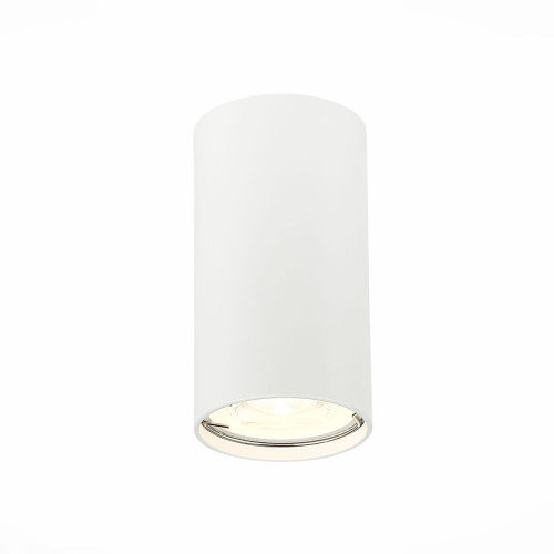 Потолочный светильник ST Luce ST110.507.01 Потолочный светильник ST Luce ST110.507.01