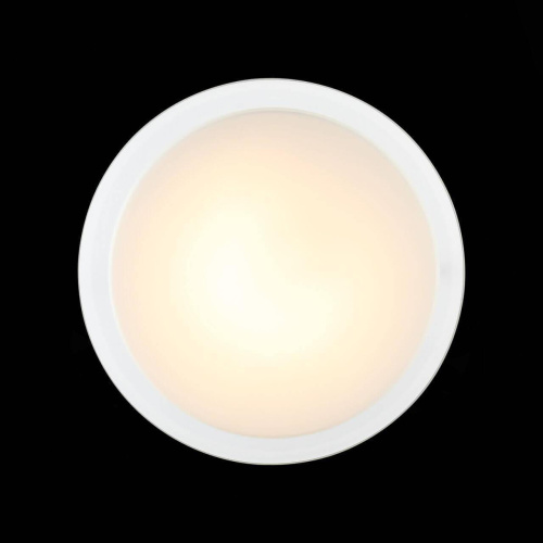Потолочный светодиодный светильник ST Luce Botone SL466.512.01 Потолочный светодиодный светильник ST Luce Botone SL466.512.01