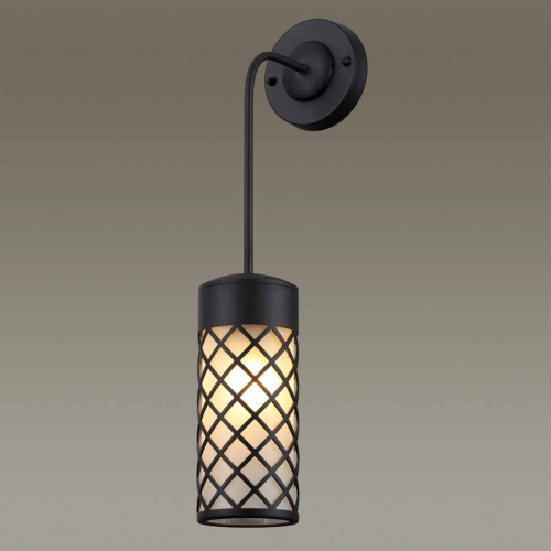 Уличный настенный светильник Odeon Light Nature Dunes 4834/1W Уличный настенный светильник Odeon Light Nature Dunes 4834/1W